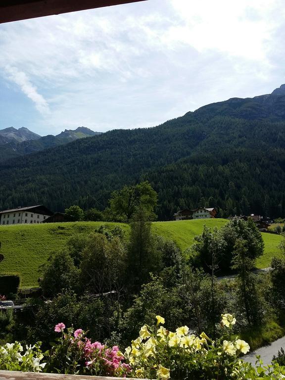 Haus Pinnistor Neustift im Stubaital Εξωτερικό φωτογραφία